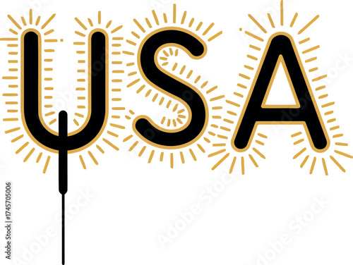 Usa sparkler celebration independence day vector