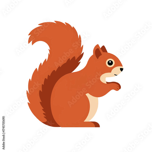 Cute red squirrel sitting and holding a nut, flat vector illustration, reddish brown and white, nature and wildlife