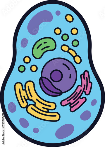 Detailed animal cell illustration educational biology science art vector