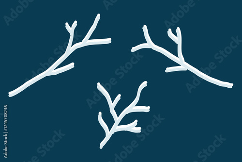 a set of winter blue decorative branches