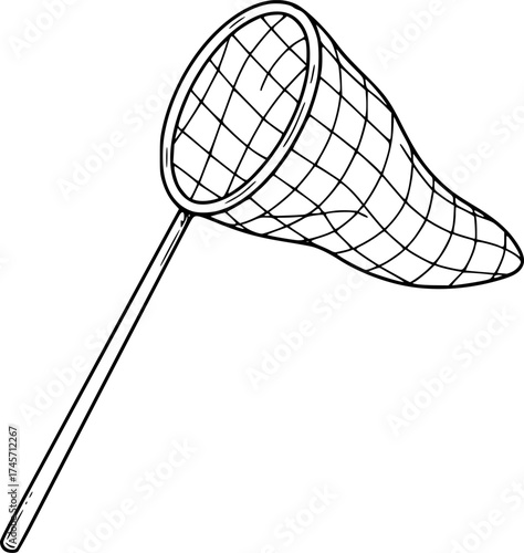illustration of a butterfly net