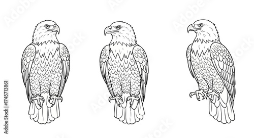 Three eagle drawings in a row, each with different poses, all in black and white line art.