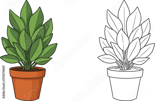 Wallpaper Mural Potted succulent and cactus plants with leaves for home decoration and gardening Torontodigital.ca