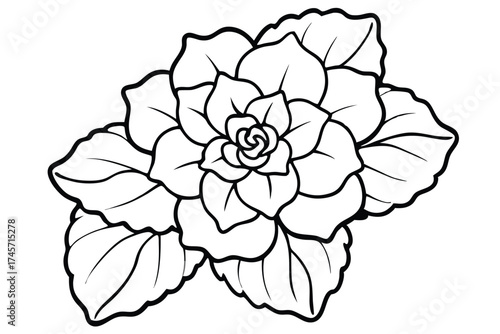 Outlined Black and White Rose Flower Illustration with Leafy Arrangement, Isolated Still Life