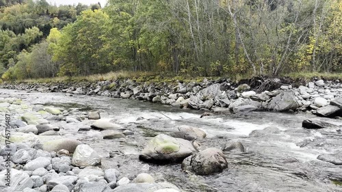The river flows through the rocks through the forest