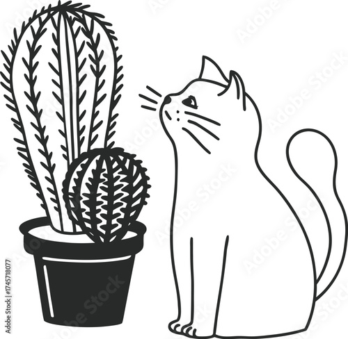 Cat and cactus 