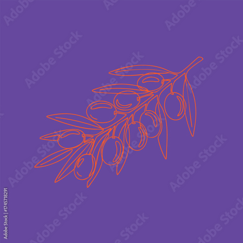 Stylized line drawing of an olive branch with ripe olives and elongated leaves on a vibrant purple