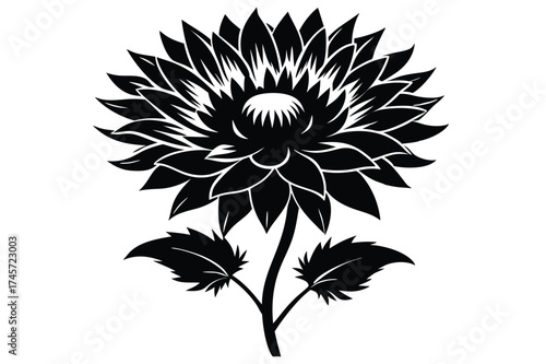 Graphic Black and White Flower Illustration with Two Leaves on a Stem Vector