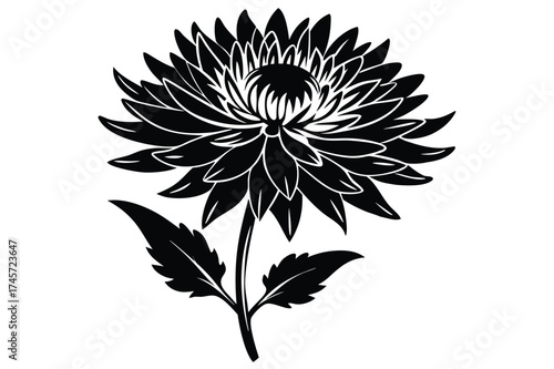 Elegant Black Silhouette Illustration of a Blooming Chrysanthemum Flower with Stem and Leaves