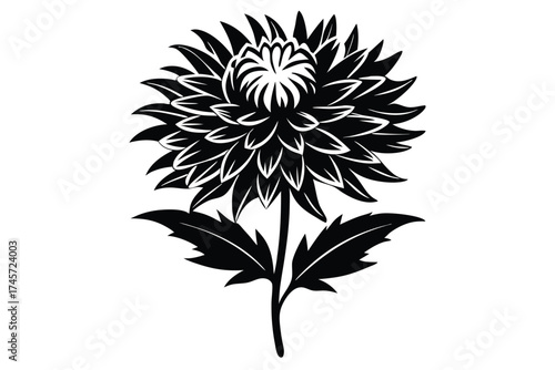 Silhouette Illustration Ornate Chrysanthemum Flower with Stem and Leaves Graphic Design Element