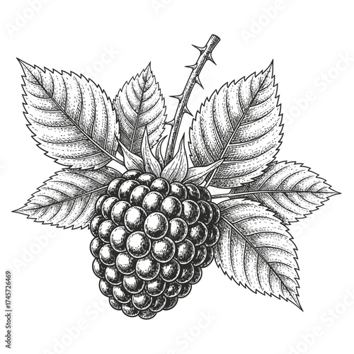 Open Holy Book on Rehal Stand | Quran Reading Symbol | Islamic Religious Vector Icon