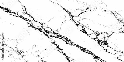 Elegant white marble texture with fine black veins, natural stone surface background for interior design, luxury wall, countertop, and flooring patterns, high-resolution minimal backdrop.