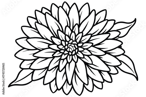 Outlined Dahlia Flower Illustration with Leaves, Black and White Floral Art