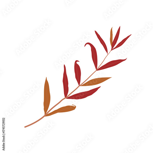 Twig with leaves on white background.