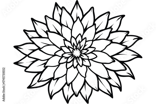 Detailed Black Outline Illustration of a Blossom with Layered Petals, Symmetric and Stylized