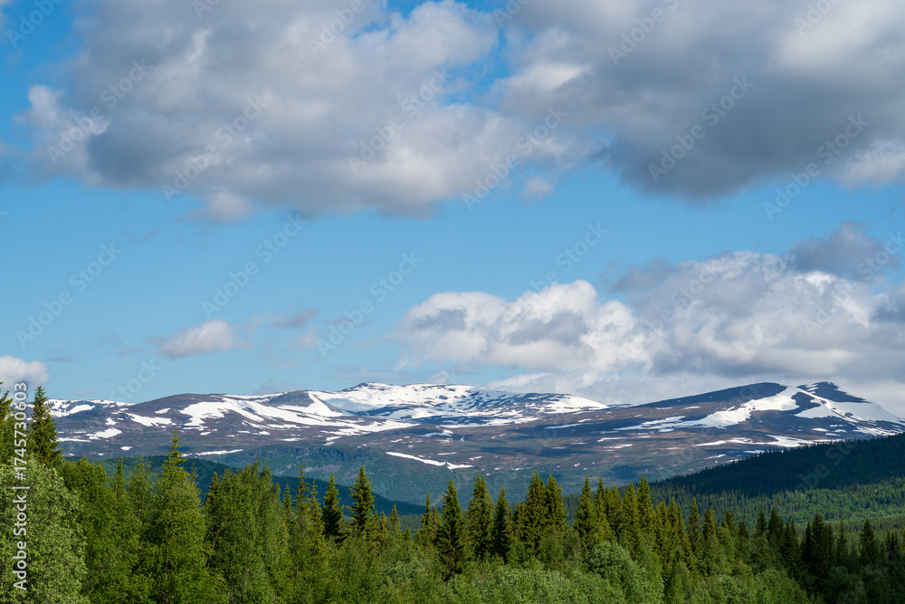 Fototapeta premium Swedish wilderness and mountains in July.