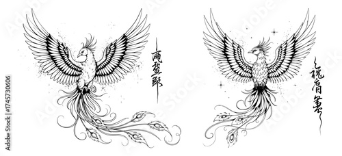 Vector art of two phoenix birds with spread wings and detailed feather for design and decoration purposes