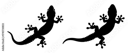Vector art of silhouette of two geckos, perfect for reptile enthusiasts and natureinspired designs