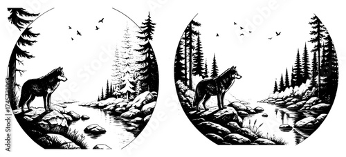 Vector art of serene wolf in forest by river, a handdrawn illustration, natures tranquility unveiled