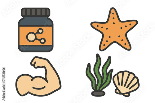 Vector set of muscle protein supplement container, flexed arm muscular biceps, and sea elements including starfish, seaweed, and seashell icons for health, fitness, and marine themes