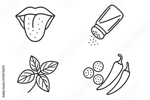 Vector illustration of taste and seasoning symbols with tongue taste buds, salt shaker, basil leaves, chili peppers, and spice icons, flavor food concept