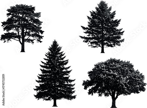 Set of four diverse tree types including coniferous and deciduous species with unique foliage shapes for forest and nature design