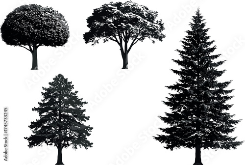 Set of Four Tree Silhouettes with Distinct Shapes and Foliage Styles for Nature, Forest, Landscape, and Botanical Design Themes