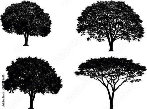 Set of tree silhouette vector icons with diverse canopy shapes and branching styles for nature, landscape, and botanical design themes.