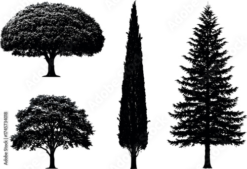 Set of tree silhouettes with diverse shapes and foliage styles for nature, forest, landscape, botanical, and seasonal design themes