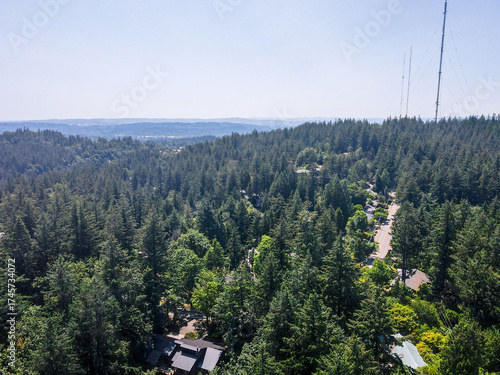 Fotografija Aerial landscape of Portland forest park nature view on sunny summer day in Oreg