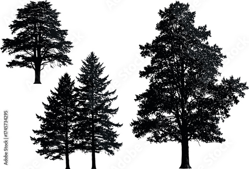 Silhouette collection of diverse tree species with unique shapes, foliage styles, and branch structures isolated on white background for nature themes