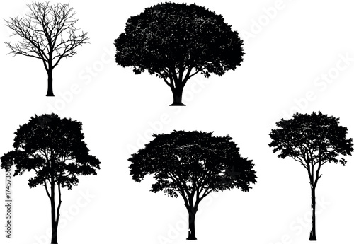 Silhouette set of diverse tree shapes including leafless, broadleaf, and deciduous forms for nature, landscape, and botanical design themes