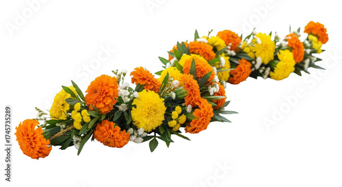 Marigold Toran, Marigold. isolated