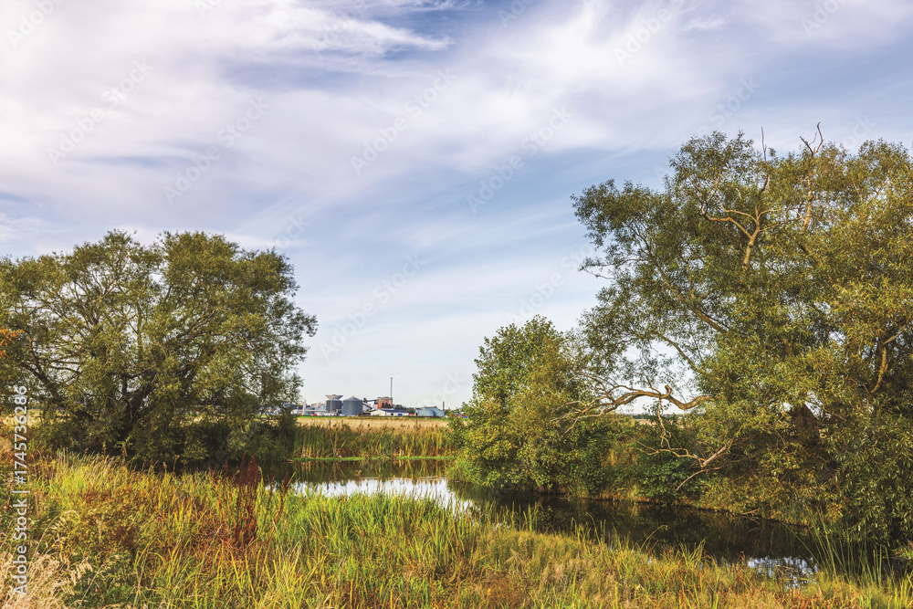 Obraz premium Autumn river with tall green trees and grass on background of industrial buildings and cloudy blue sky. Sweden.