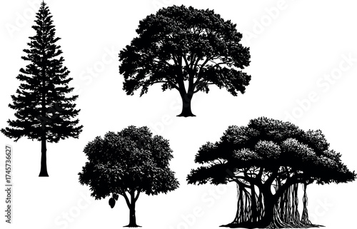 Silhouette set of diverse tree shapes including pine, oak, banyan and fruit tree for nature, forest, landscape design themes