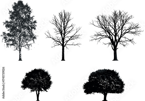 Silhouette tree collection with bare branches and leafy canopies for seasonal nature design, landscape elements, botanical illustration, vector art