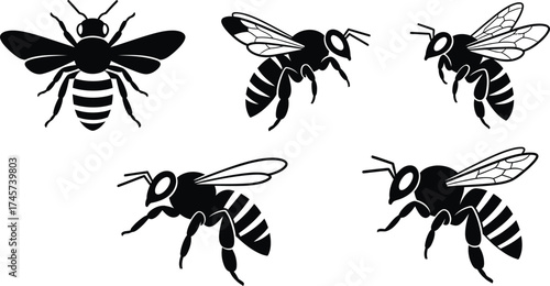 A collection of five black and white vector illustrations of bees from various angles, including top-down and side views.