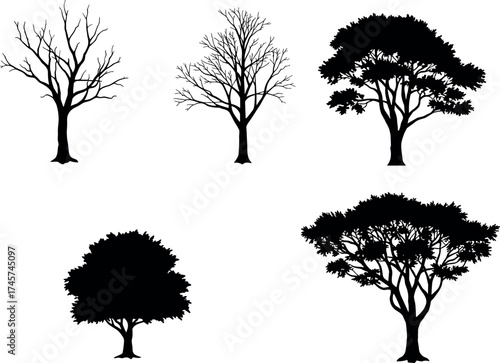 Silhouette tree collection with seasonal foliage variations, bare branches, full canopy, nature elements for landscape design and botanical illustration use