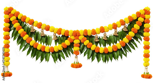 Marigold flower, Marigold toran. Marigold. isolated on a white Background