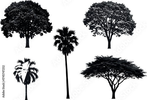 Silhouette tree collection with tropical palms and broadleaf species for landscape design, nature themes, and botanical illustration projects