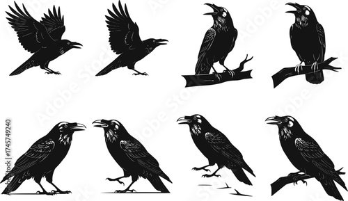 Raven silhouette vector, flying raven, perched bird, black crow illustration, wildlife clipart, bird pose collection, nature animal graphic set