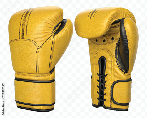 realistic 3d boxing gloves front and back with black view in different color style isolated on transparent background