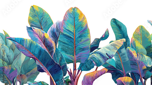 Detailed Tropical Banana Leaf Illustration for Vibrant Designs