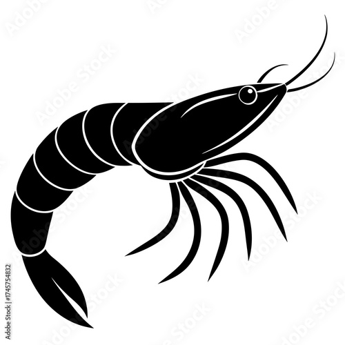 vector illustration of a shrimp