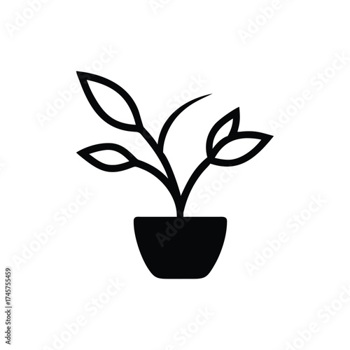 Potted Plant Vector Design Ideas Adobe Stock