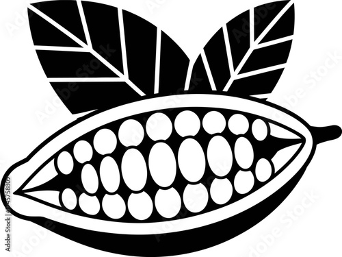 Cocoa Bean Fine Chocolate Manufacturing Organic Fair Trade

