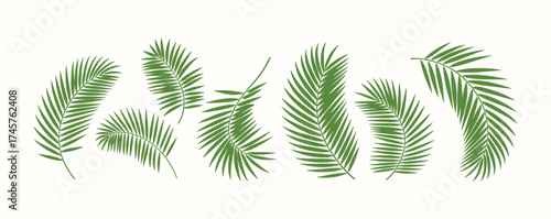 A vibrant collection of green tropical palm leaves creates a refreshing natural motif.