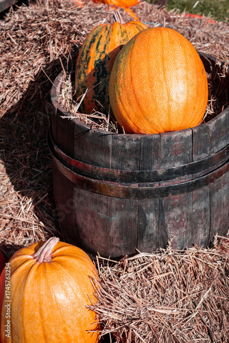 Ripe organic pumpkin lying in an old vintage wooden barrel in hay. Background for Halloween, Thanksgiving Day. Harvest and agricultural products. Fair and market.	