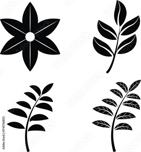 Black silhouette elements of a star flower and three different leafy branches isolated on white background