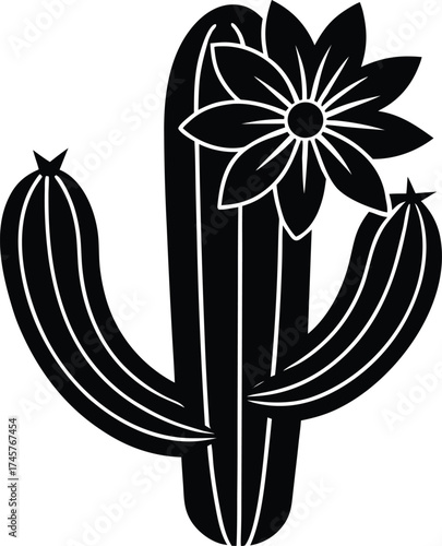 A detailed close-up macro photograph of intricate seed pod texture and structure isolated on transparent background